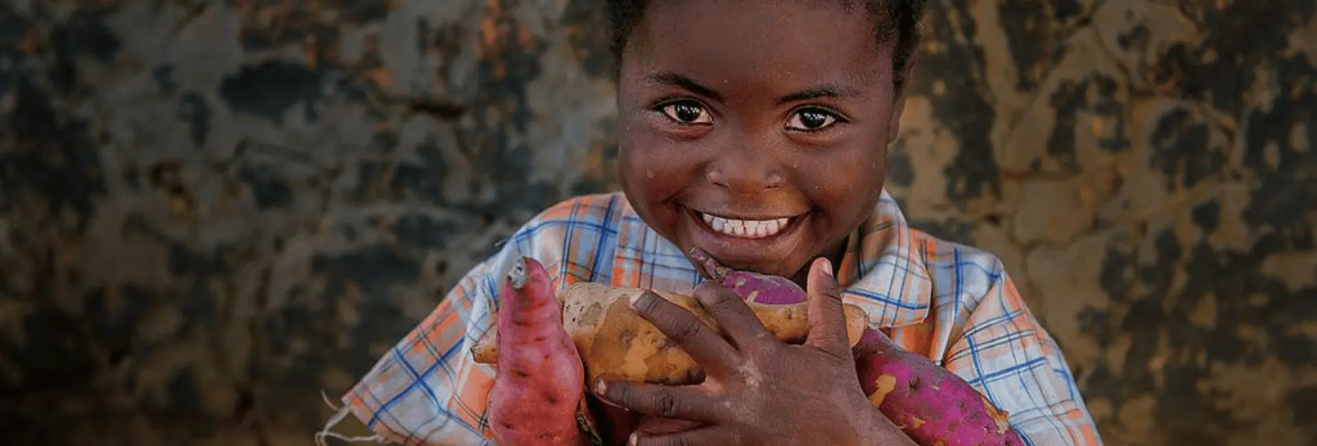 Our Food Programs