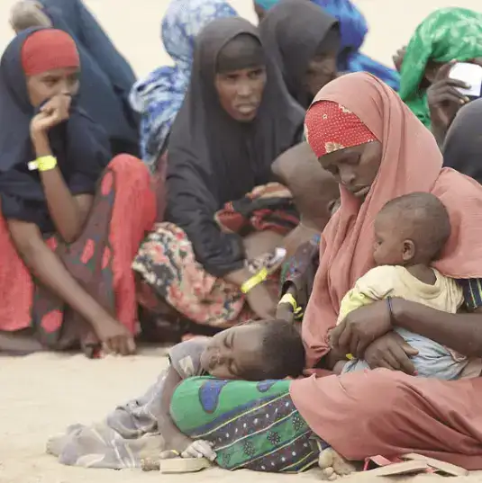 Who Does Hunger Affect | World Food Relief Poverty is the most significant cause of hunger and approximately 9 of the global population around 690 million people are in extreme poverty